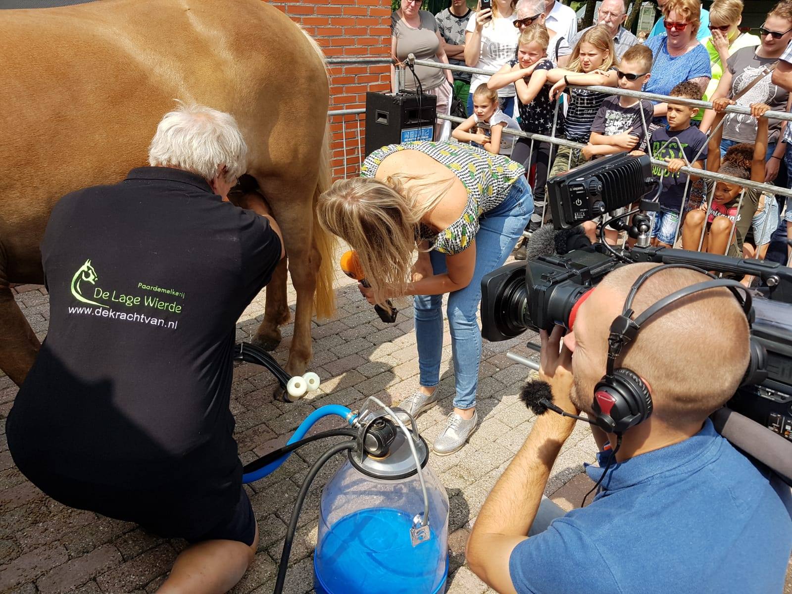 Zaterdag Open Dag Paardenmelkerij De Lage Wierde Lopsternijs