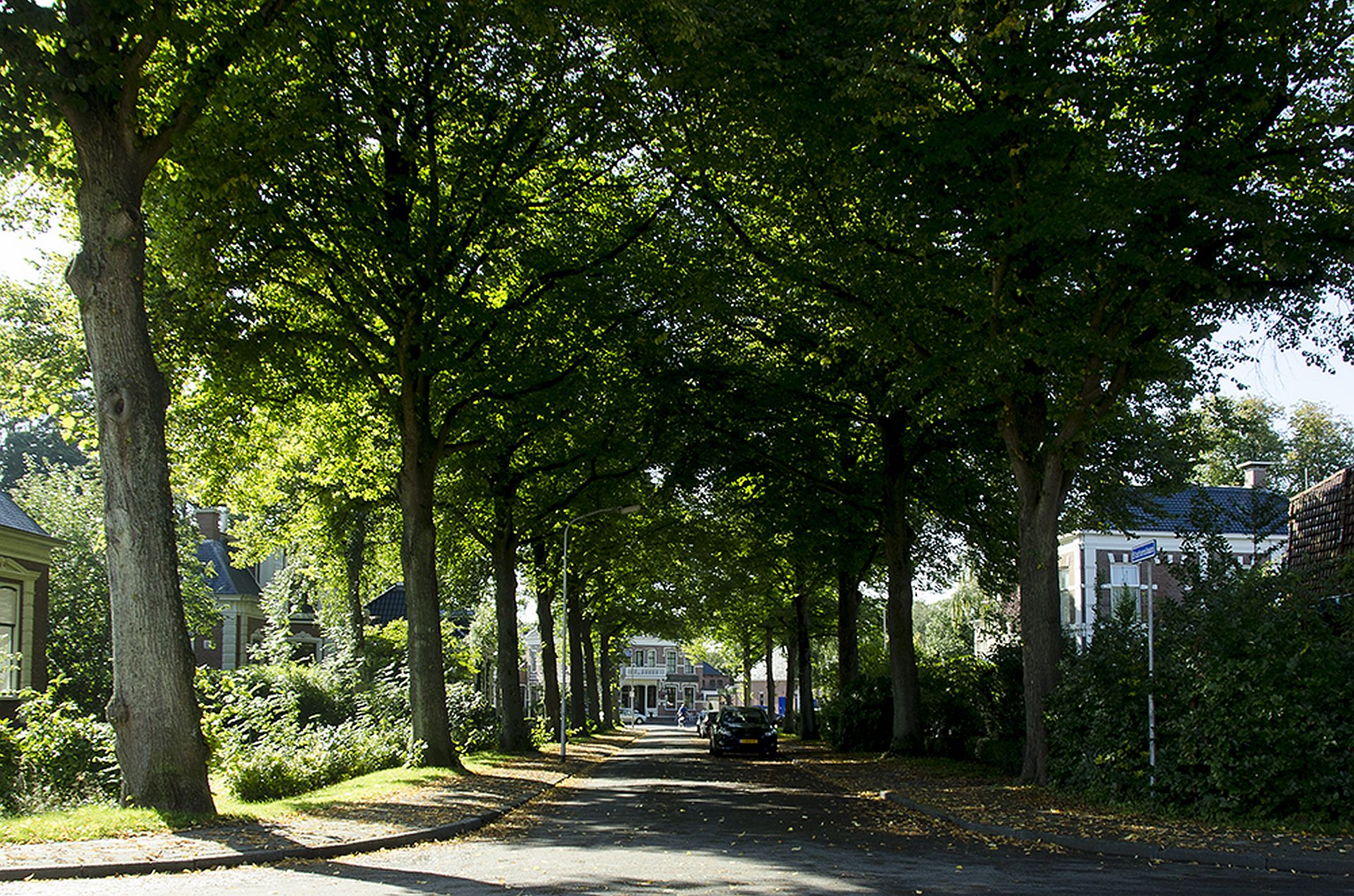 Een Dorpsplan Voor Loppersum Lopsternijs